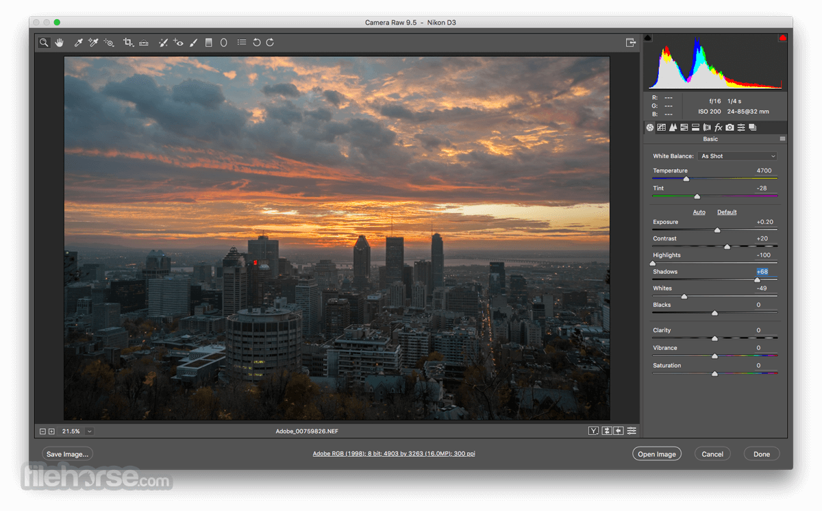 Adobe Camera Raw 10 Download Mac